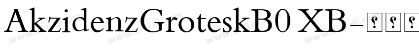 AkzidenzGroteskB0 XB字体转换